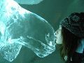 69 ICEHOTEL-Mie's kissing with reindeer